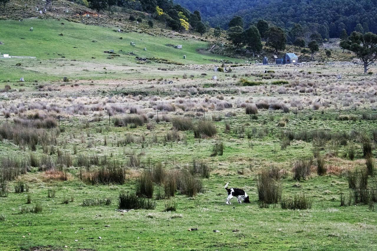 Currawong Lakes Tasmania Lake Leake Exterior photo